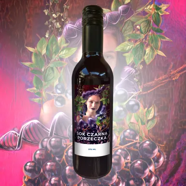 Sok Moniki Czarna Porzeczka BIO 375 ml