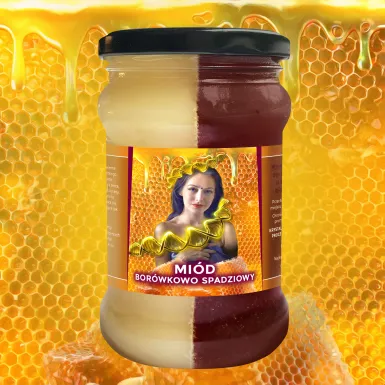 Miód Moniki Borówkowo Spadziowy - 430g