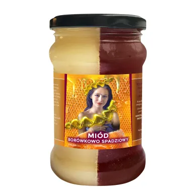 Miód Moniki Borówkowo Spadziowy - 430g 2