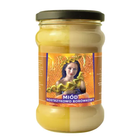 Miód Moniki Nostrzykowo Borówkowy - 430g