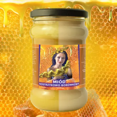 Miód Moniki Nostrzykowo Borówkowy - 430g
