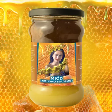 Miód Moniki Faceliowo Spadziowy - 430g