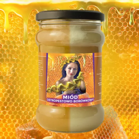 Miód Moniki Ostropestowo Borówkowy - 430g