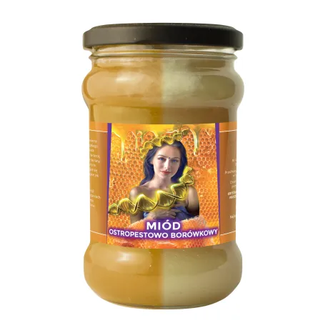 Miód Moniki Ostropestowo Borówkowy - 430g