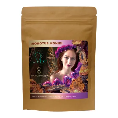 Inonotus Obliquus / Chaga / Błyskoporek Podkorowy 2