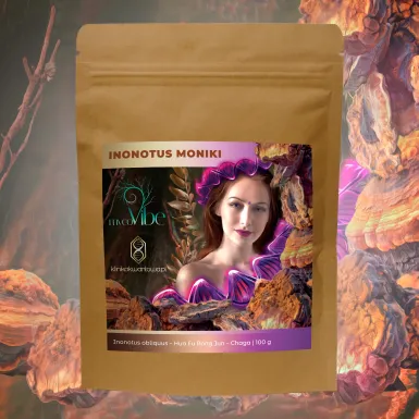 Inonotus Obliquus / Chaga / Błyskoporek Podkorowy