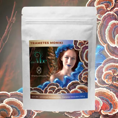 Trametes Moniki - Wrośniak Różnobarwny