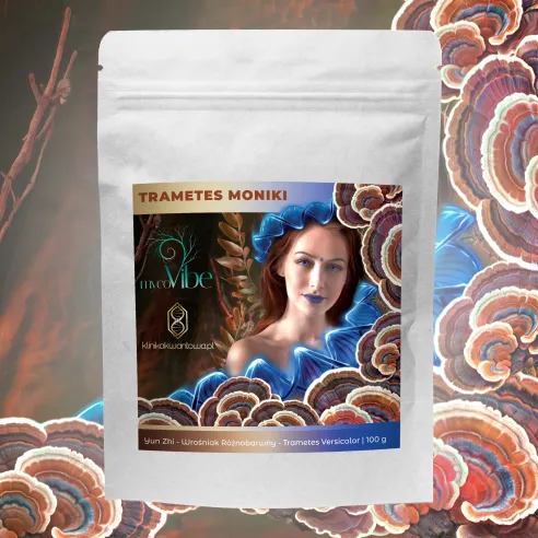 Trametes Moniki - Wrośniak Różnobarwny