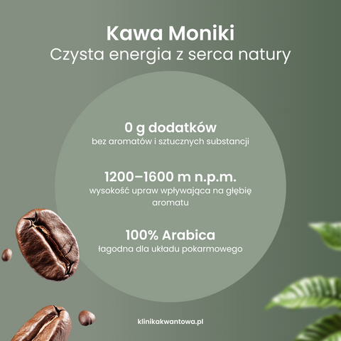 Kawa Moniki Mielona - India Monsooned Malabar
