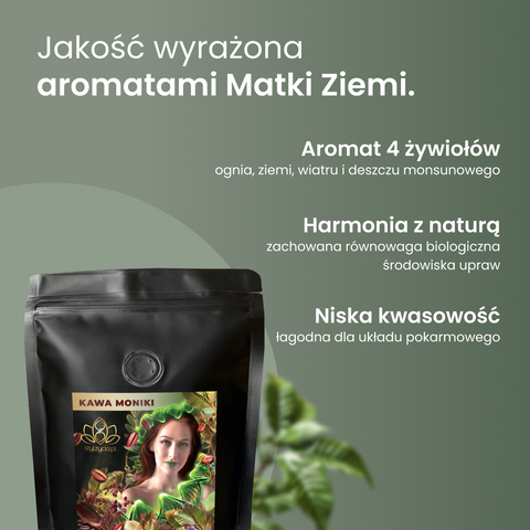 Kawa Moniki Mielona - India Monsooned Malabar