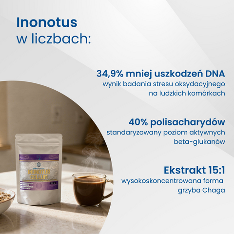 Inonotus Cellum