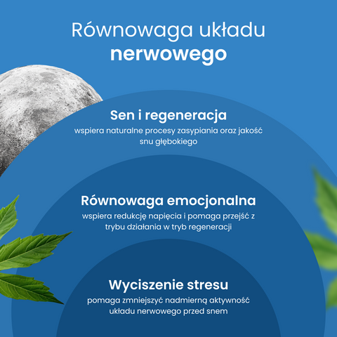 Olej CBD + CBN  „Spokojny Sen"