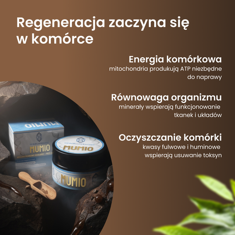 Żywe  Mumio - Shilajit