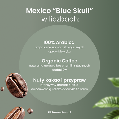 Kawa Moniki Ziarnista - Aromatyczna Mexico “Blue Skull” Organic