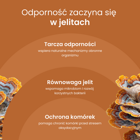 Trametes Moniki