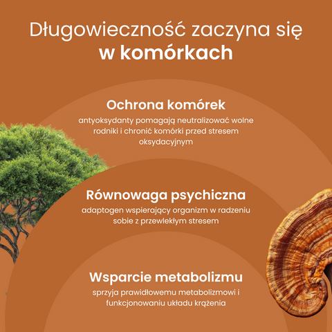 Ganoderma Moniki